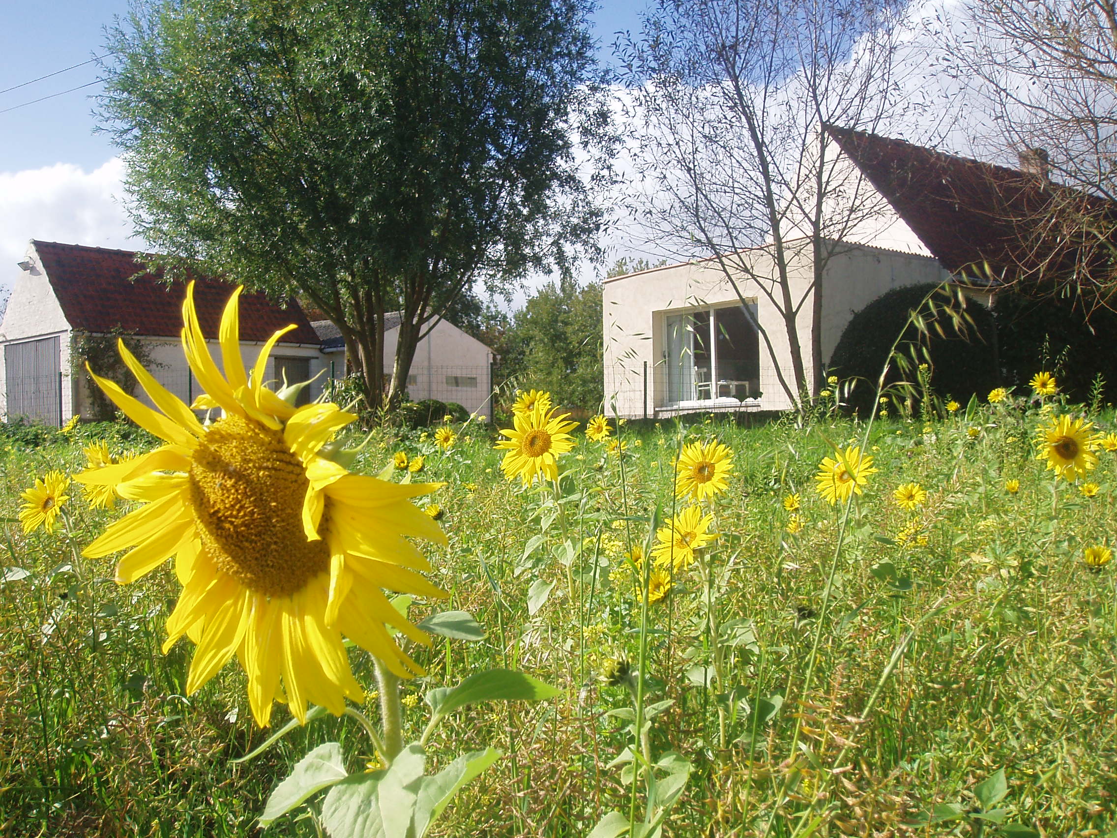 vakantiewoning